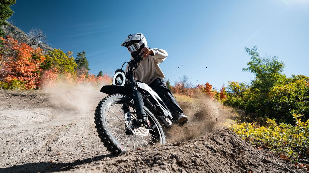 E-Roller / E-Moto kaufen