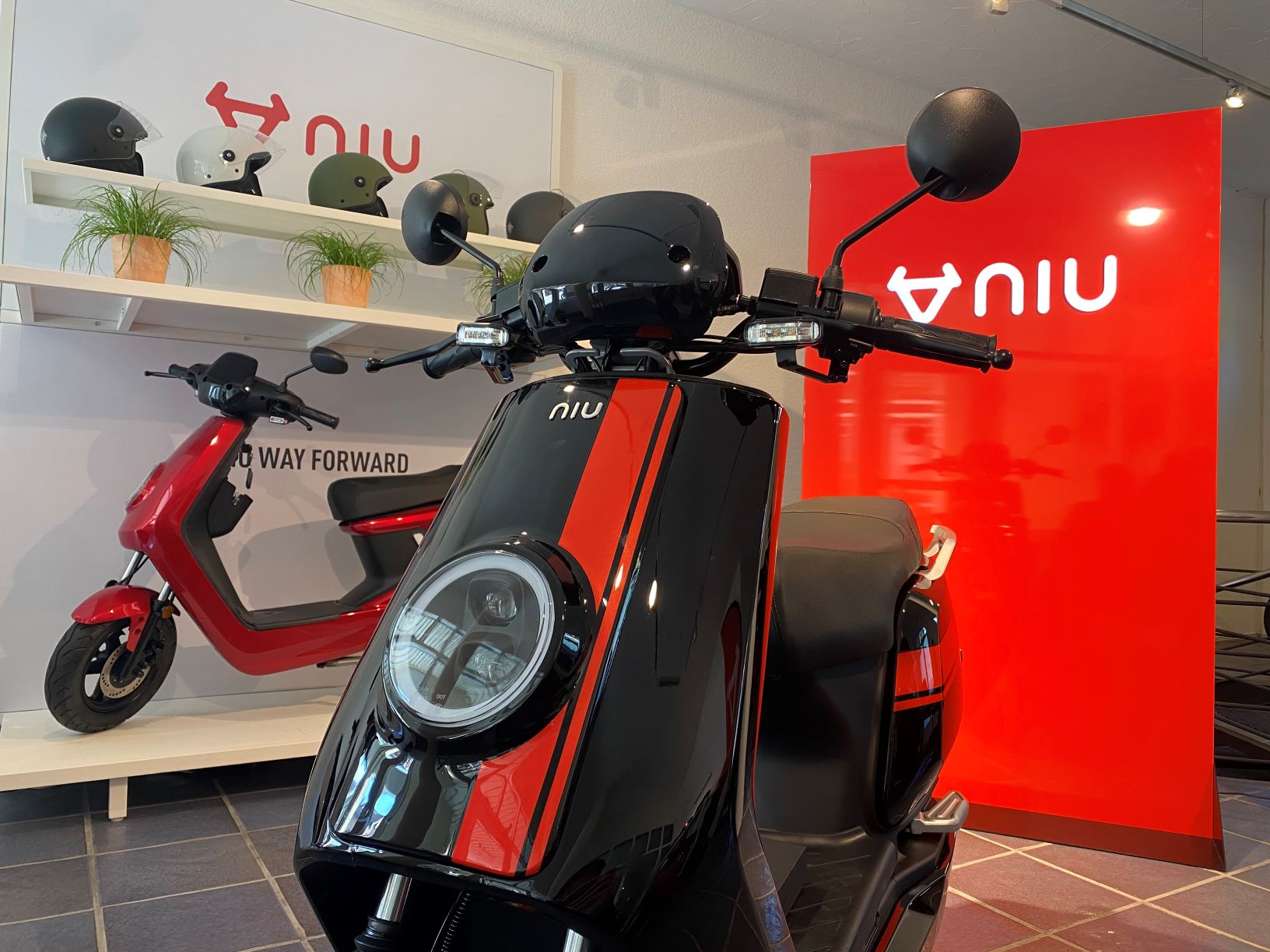 NIU Premium Store Küssnacht