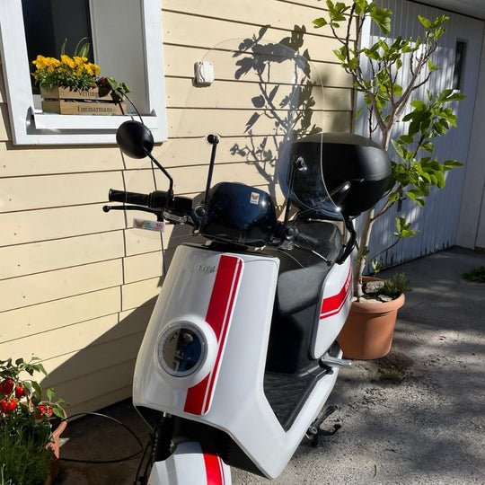 Isotta Windschild klar für NIU NQi